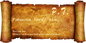 Pahocsa Terézia névjegykártya