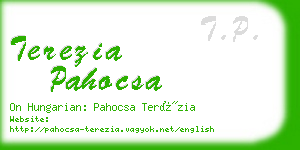 terezia pahocsa business card